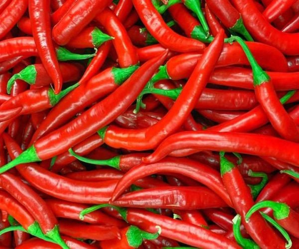 chilli